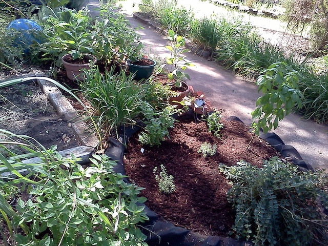 Newly Mulched Bed!