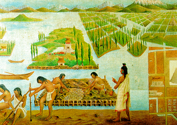 aztec-reef-hydroponic-gardening-chinampa