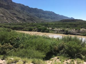 View of the Rio Grande from the Park. Mesquite Trees fill the low lying bank of the river.