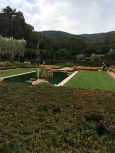 View of the pool at Filoli