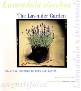 lavender_garden
