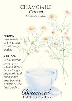 Chamomile-German