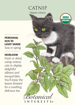 Organic Catnip Seeds