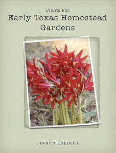 Plants For Early Texas Homestead Gardens by Cindy Meredith