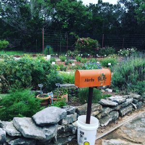 Comal MG Herb Garden