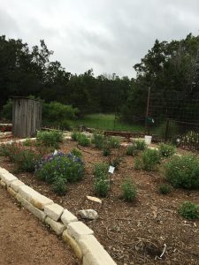 Comal MG Herb & Native Garden