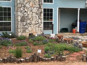 Comal MG Herb Garden