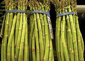 Asparagus- tasty, nutritious and useful!