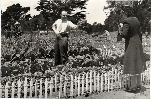 golden gate park victory gardens, 1943 - sfpl historic photograph collection