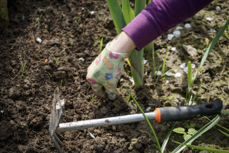 title of essay about gardening