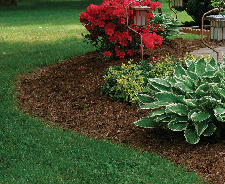 Wood Chip Mulch In Garden, Landscaping Wood Chips