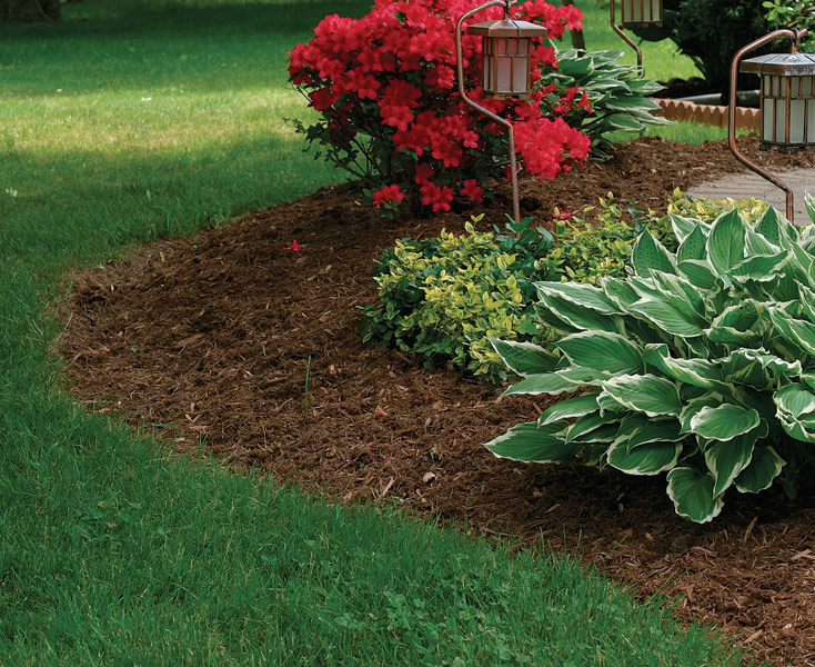 Image of Wood chip mulch around flowers