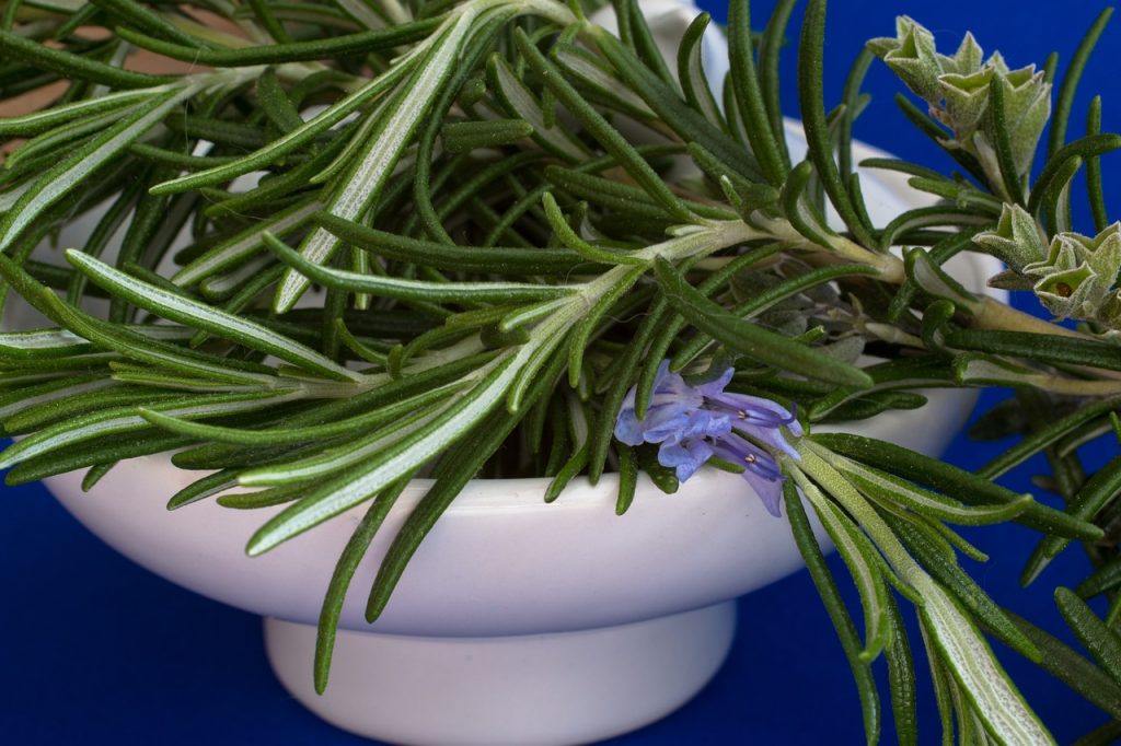 rosemary leaves